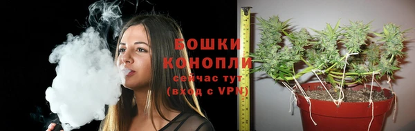 марки nbome Заводоуковск