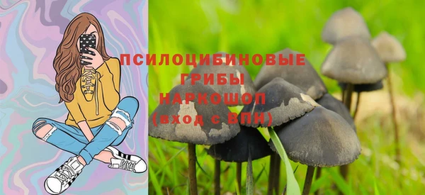 марки nbome Заводоуковск
